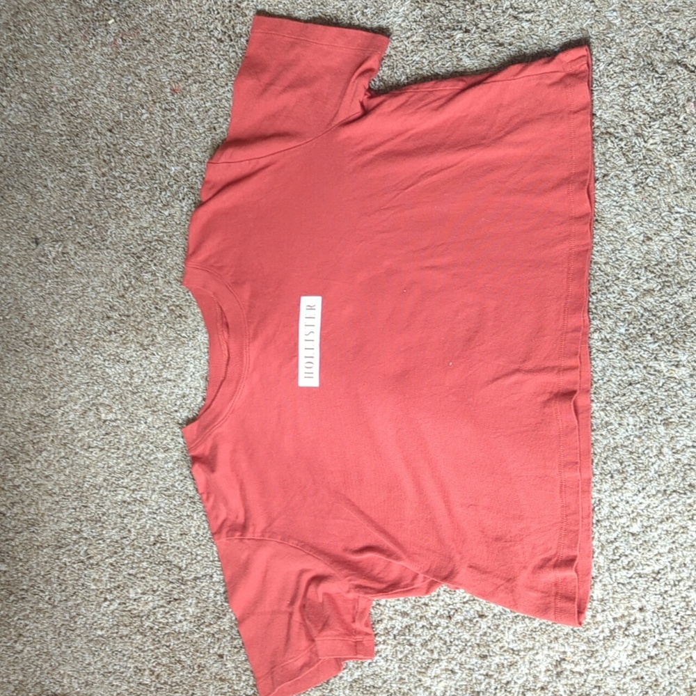 Hollister cropped top tee